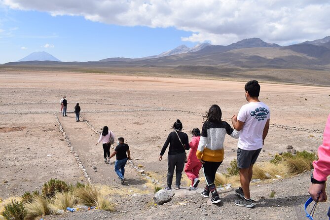 Colca Full Day - Salinas and Aguada Blanca brings the open scenery