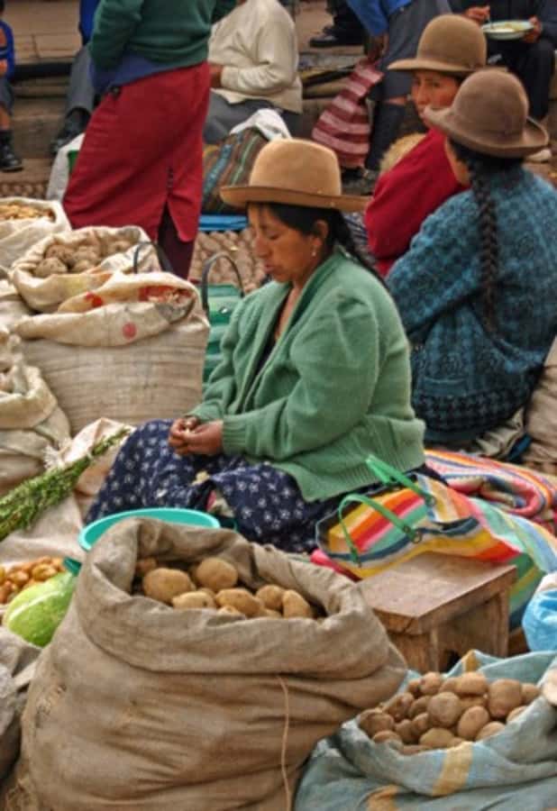 Cusco: 3-Hour Peruvian Cooking Class - The central market turns shopping into a lesson