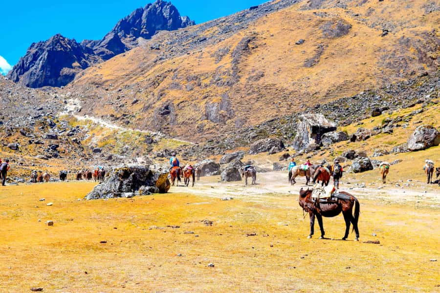 Cusco: 5-Day Salkantay Ultimate Trek to Machu Picchu - Day 3: From mountain air to Lucmabamba coffee country