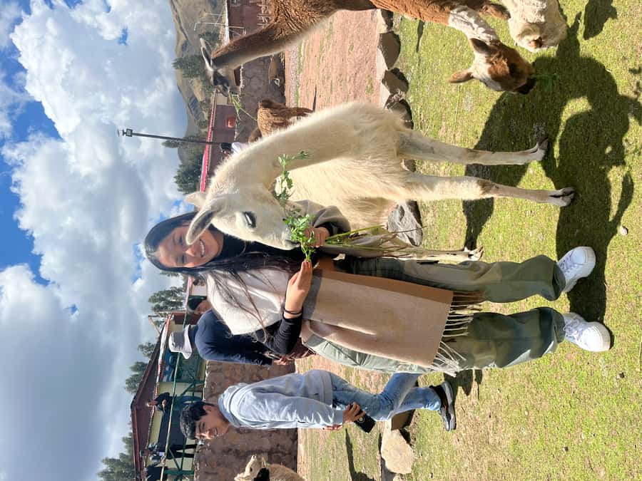 Cusco: Archeological Sites Tour and Forest Photo Experience - The Main Service Concern: Keep Track of the Schedule