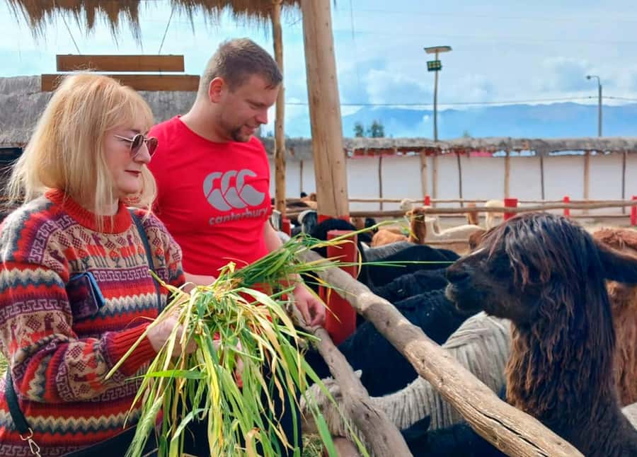 Cusco: Archeological Sites Tour and Forest Photo Experience - Qenqo Forest: The Tour’s Personal Touch