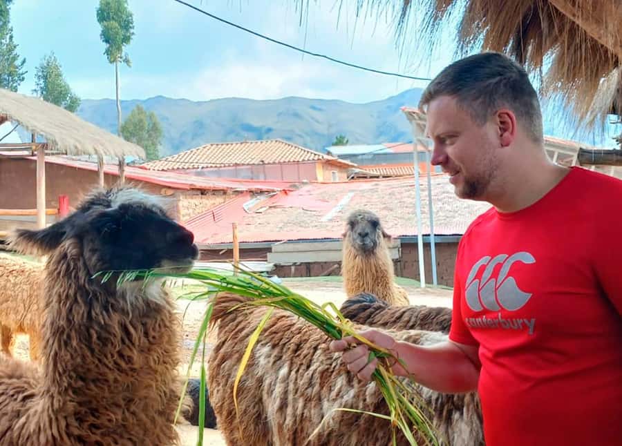 Cusco: Archeological Sites Tour and Forest Photo Experience - What the $17 Price Really Covers