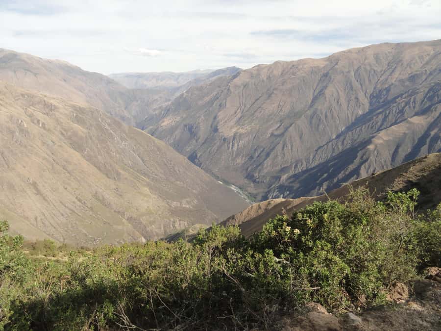 Cusco: Chonta Canyon and Condor Flight Tour with Lunch - Why This Day Trip Is Worth Considering
