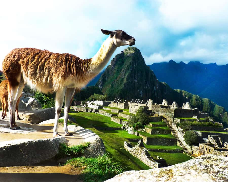 CUSCO: Full Day All Included Private Machu Picchu Experience - A 2.5-hour guided visit inside Machu Picchu
