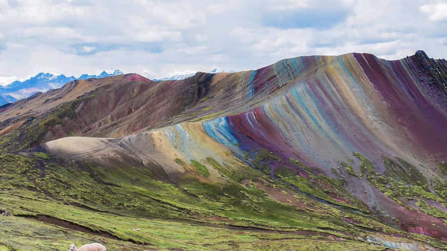 Cusco : Full day Palcoyo Mountain of colors - Why Palcoyo can be a better choice for a quieter mountain day