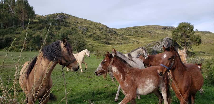 Cusco: Half-Day Horseback Riding at Devil's Balcony - Riding the countryside above Cusco