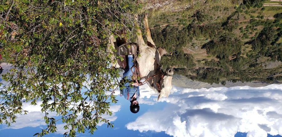 Cusco: Half-Day Horseback Riding at Devil's Balcony - Is $85 a fair price?