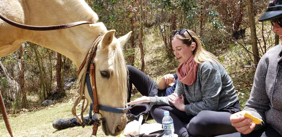 Cusco: Half-Day Horseback Riding at Devil's Balcony - From central Cusco to Vieja Estancia Ranch