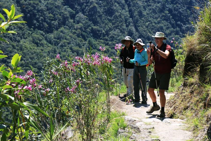 Cusco: Machu Picchu 2-Day Inca Trail with Panoramic Train - Aguas Calientes: dinner and a practical overnight