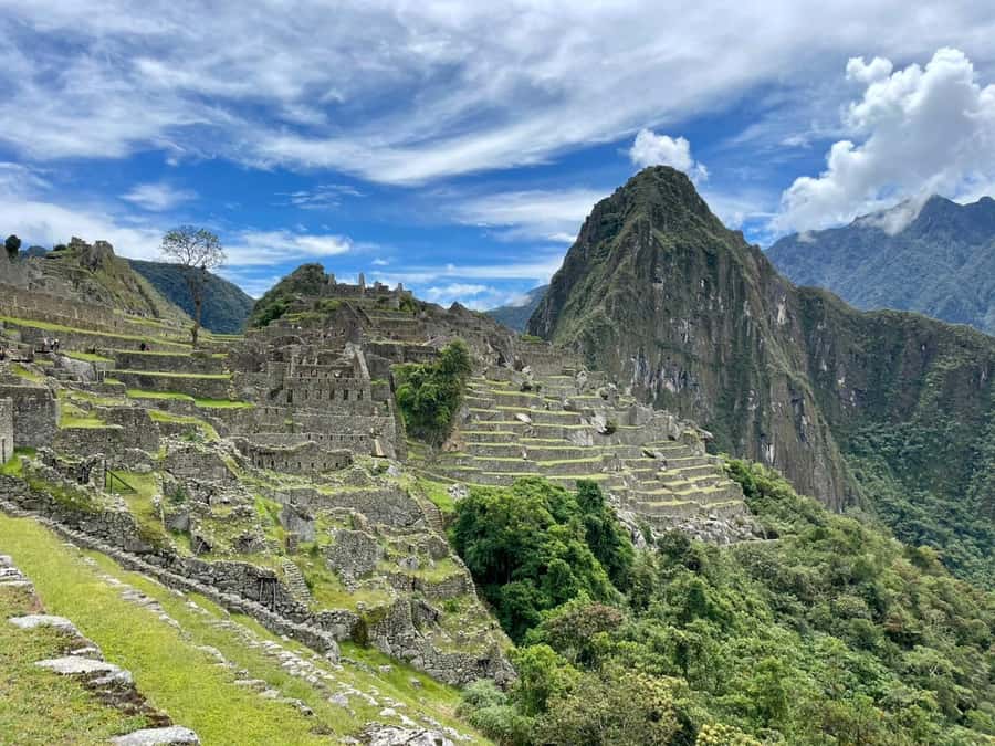Cusco: Machu Picchu Day Trip with Train + Entrance ticket - Small Groups, Private Tours, and Pace