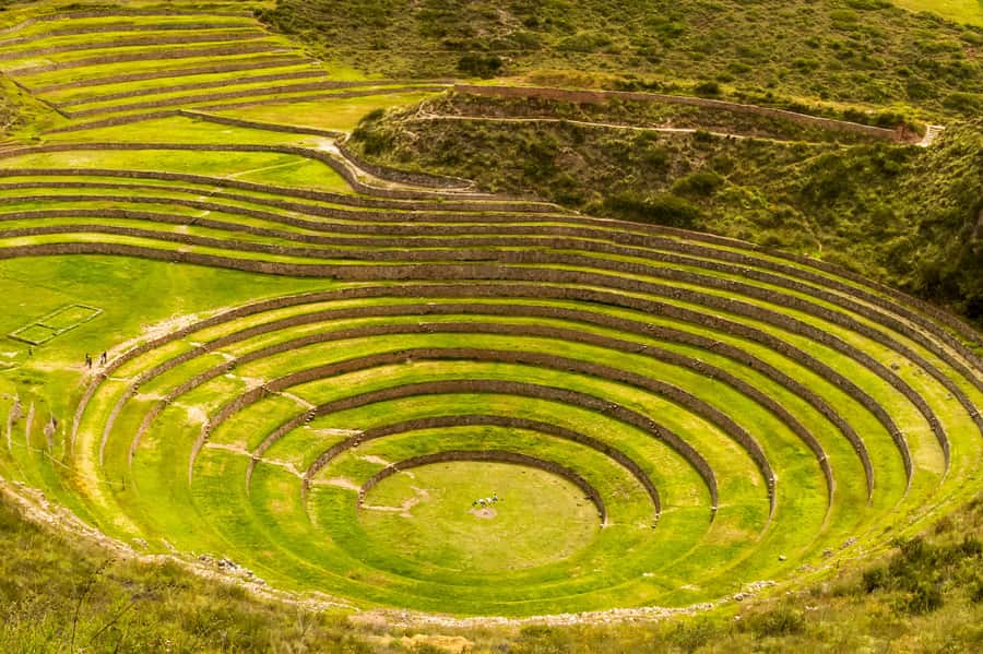 Cusco: Maras and Moray Tour ending in Ollantaytambo - Who should book this Cusco tour?