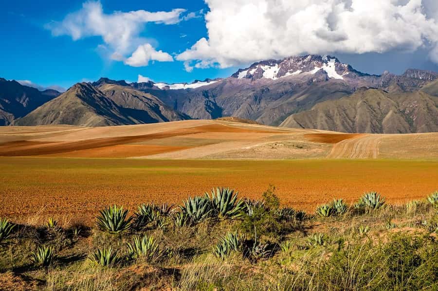 Cusco: Moray, Maras Salt Mines, and Chinchero Weavers Tour - The Salineras, 3,000 pools still producing salt