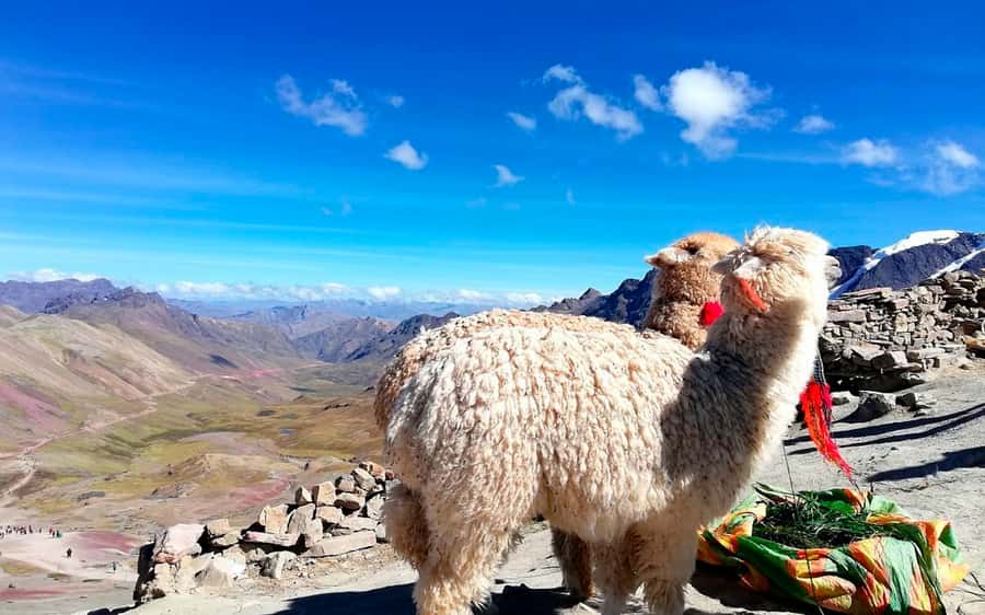 Cusco: Mountain of 7 colors Vinicunca and the Red Valley (optional) - Practical tips for making the day easier