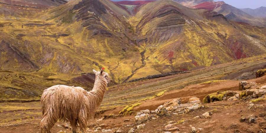 Cusco : Palcoyo - Rainbow Mountain Hidden Sister - Why Palcoyo feels different from Vinicunca