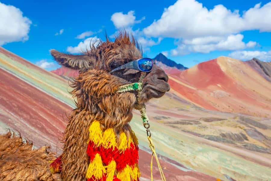Cusco : Rainbow Mountain and Red Valley Tour - A 4:00 a.m. pickup and the long road south