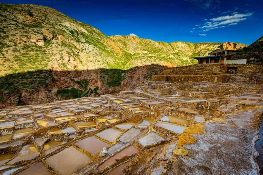 Cusco: Sacred Valley, Pisac, Ollantaytambo, Salt Mines Moray - Ollantaytambo: the day’s great Inca fortress
