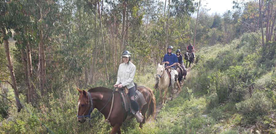 Cusco: Sacsayhuaman Guided Tour and 1-Hour Horseback Ride - Sacsayhuaman, where Inca stonework gets serious