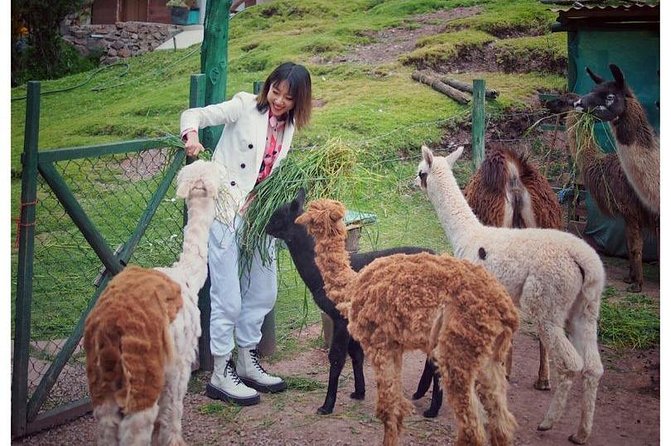 Cusco Santuario de Animales Rescatados en Cusco - A Guide Who Explains More Than Names