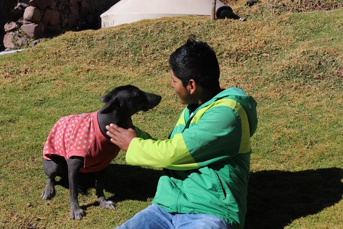 Cusco Santuario de Animales Rescatados en Cusco - How the $34 Price Holds Up