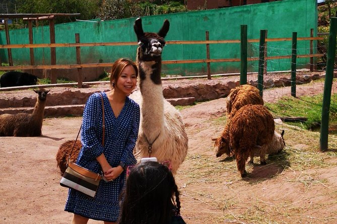 Cusco Santuario de Animales Rescatados en Cusco - Who Will Enjoy This Most