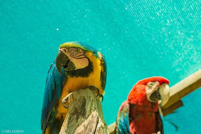 Cusco Santuario de Animales Rescatados en Cusco - Practical Details That Matter