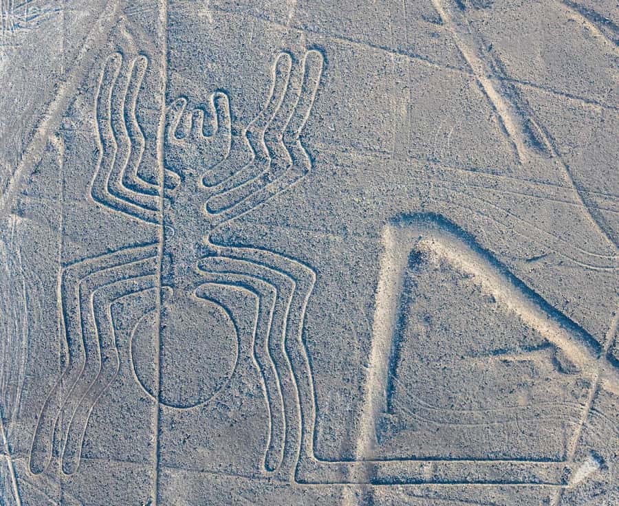 Discover Paracas, Ica and Nasca in a 2 days and 1 night trip - 7 a.m. transfer from Ica to Nasca