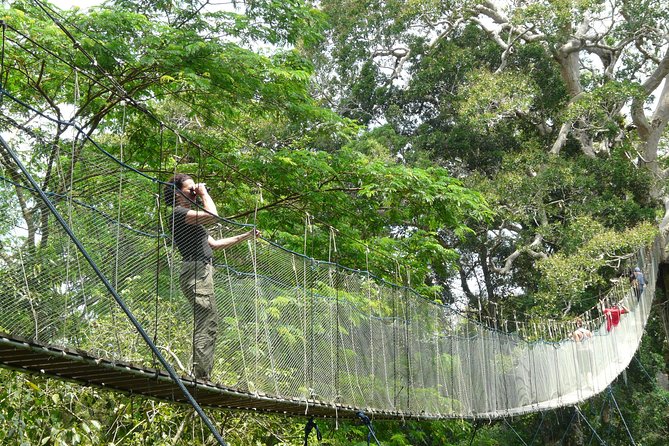 Eco Jungle 3 Days - 2 Nights - The lodge: practical comfort, not polished luxury