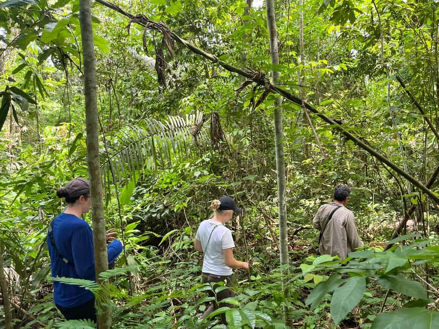 Excursion 2 days/1 nights in the jungle: Tambopata - What to Pack for Heat, Water, and Insects