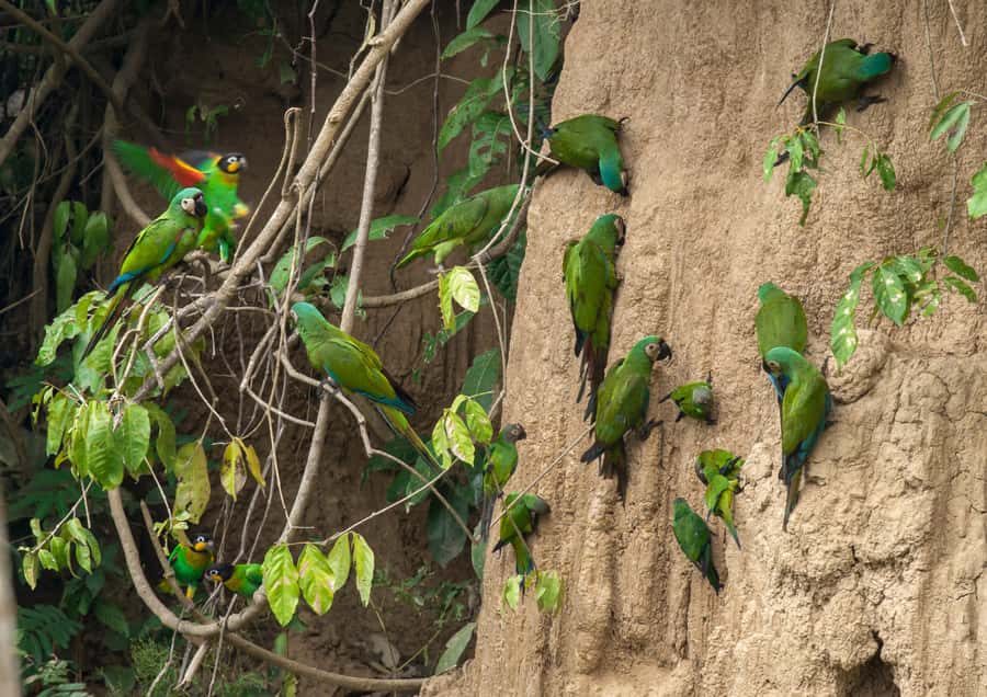 Excursion 3 days/2 nights in the jungle - Food, comfort, and the practical side of jungle lodging