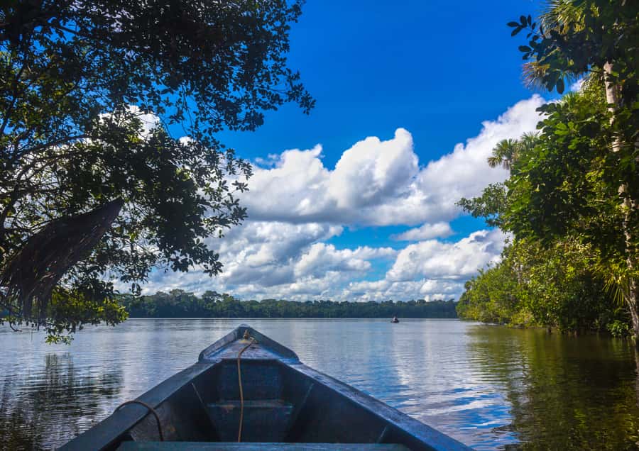 Excursion 3 days/2 nights in the jungle - Day one: forest paths, sunset, and caimans after dark