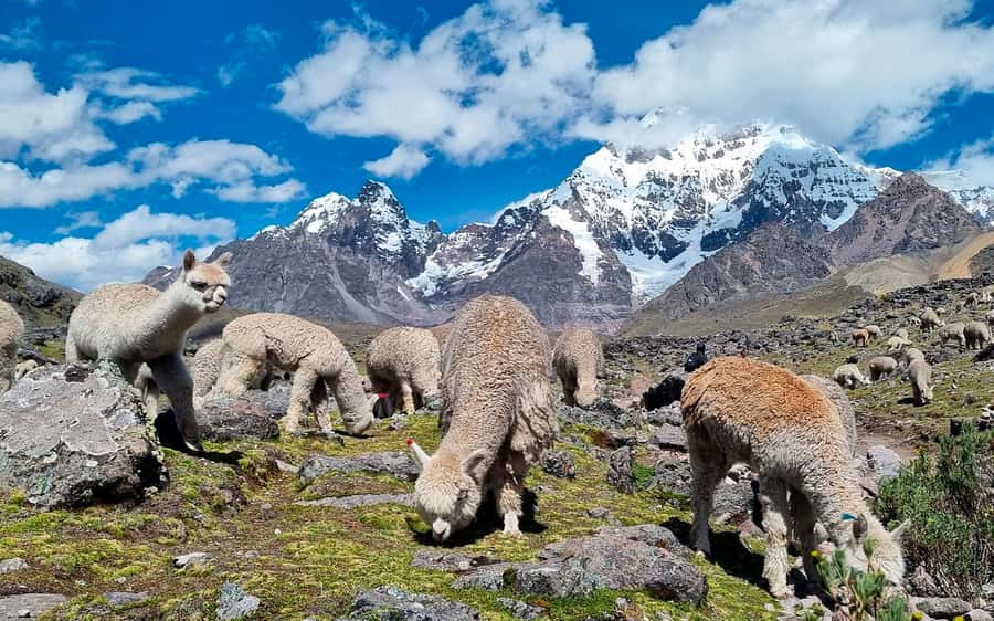 Excursion: Explore in one day the 7 lakes of Ausangate from Cusco - Soaking at Pacchanta’s Thermal Baths