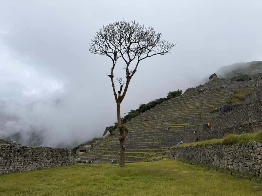 Excursion from Cusco to Machu Picchu + Entrance Tickets Incl - Entering Machu Picchu on a timed circuit