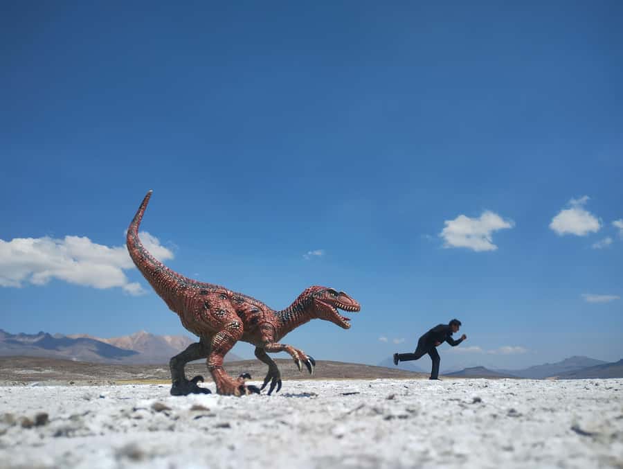 Excursion: Lagoon and National Reserve of Salinas and Aguada Blanca in Arequipa. - What You Are Paying For at $27