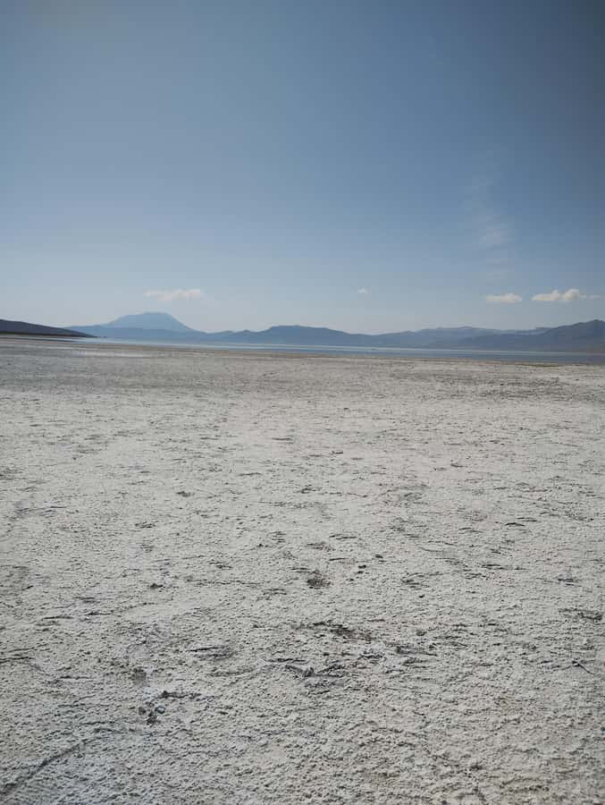 Excursion: Lagoon and National Reserve of Salinas and Aguada Blanca in Arequipa. - The Three Volcano Viewpoint