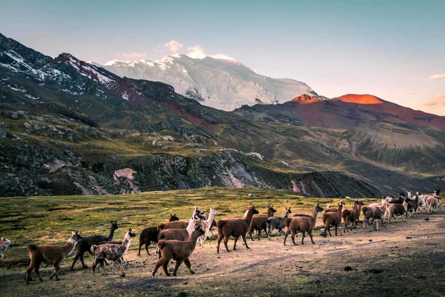 Excursion: Rainbow Mountain and Ausangate 7 Lagoons 2 days - The biggest weakness: communication and guide changes
