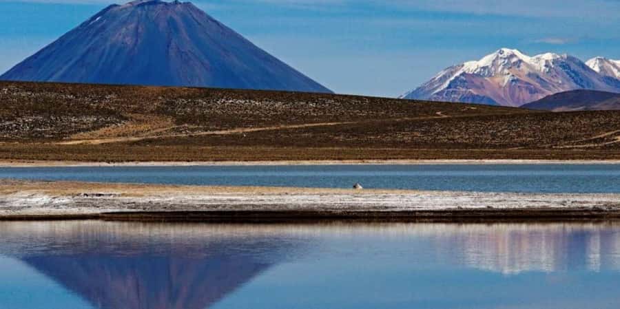 Excursion Salinas Lagoon and National - Why Salinas Lagoon makes a good half-day from Arequipa