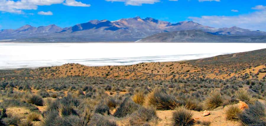 Excursion Salinas Lagoon and National - The Mirador de los Volcanes at 9:00 a.m.