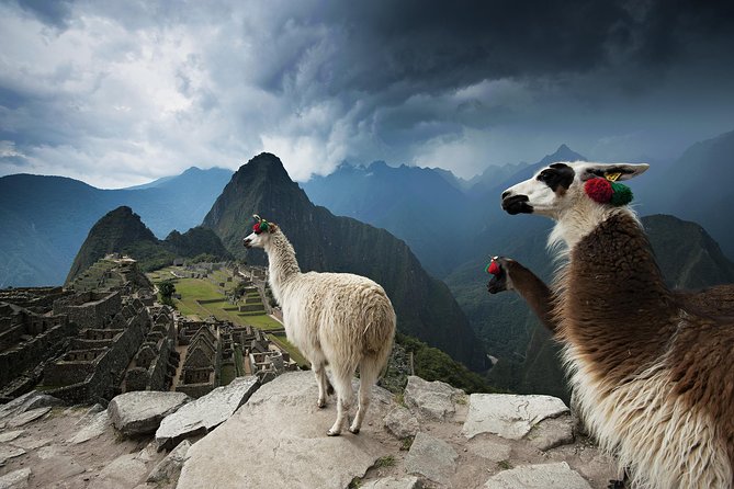 Excursion to MachuPicchu from Cusco with lunch | Private Service| - The 3 to 4 a.m. hotel pickup