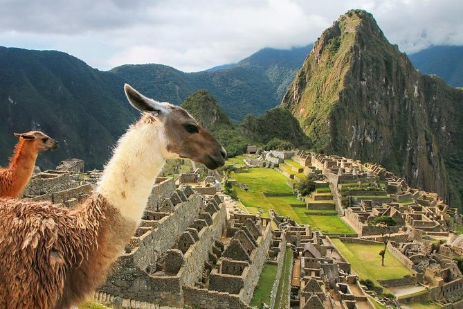 Excursion to MachuPicchu with Train Vistadome Full Day - The Machu Picchu visit and its circuits