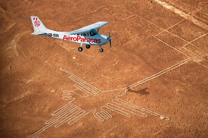 Flight Over the Nazca Lines from Pisco + Huacachina Oasis - What sandboarding actually means here