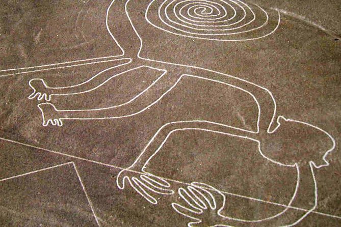 Flight Over the Nazca Lines from Pisco + Huacachina Oasis - Who should book this experience?