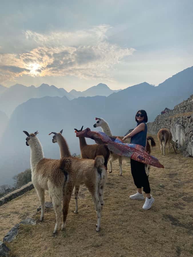 From Aguas Calientes: Machu Picchu guided tour with tickets - Starting in Aguas Calientes, not Cusco