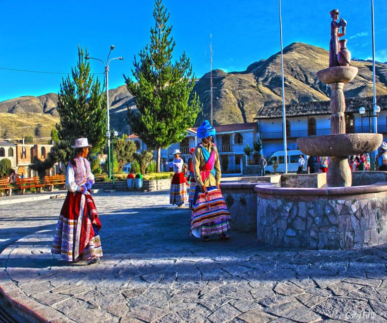 From Arequipa: 2-Day Colca Canyon Tour with Transfer to Puno - Who should book this tour