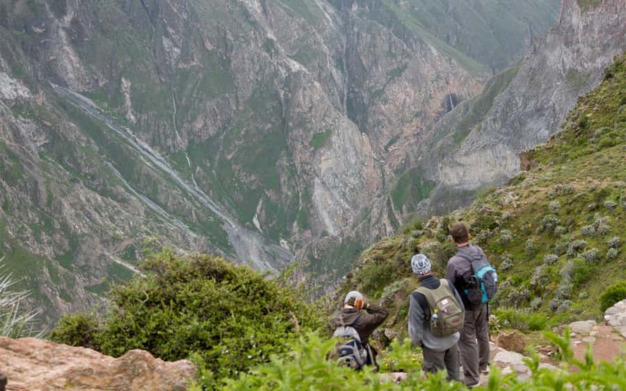 From Arequipa: 2-Day Colca Canyon Trekking Tour - Key points at a glance