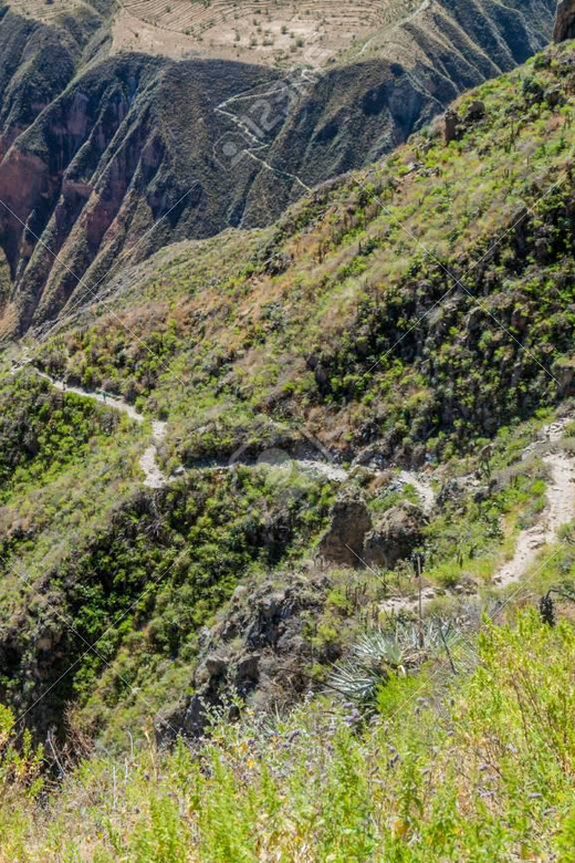 From Arequipa: 2-Day Colca Canyon Trekking Tour - The return stops make the long bus ride worthwhile