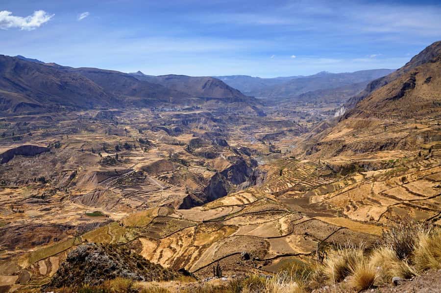 From Arequipa: Colca Canyon and Condor Watching Day Trip - What this $27 Colca Canyon trip really offers