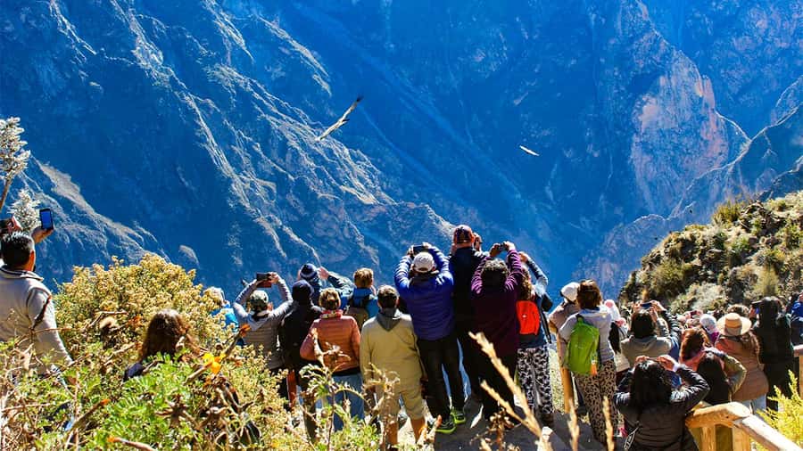 From Arequipa: Colca Canyon Day Trip with Transfer to Puno - Quick take: what makes this day special