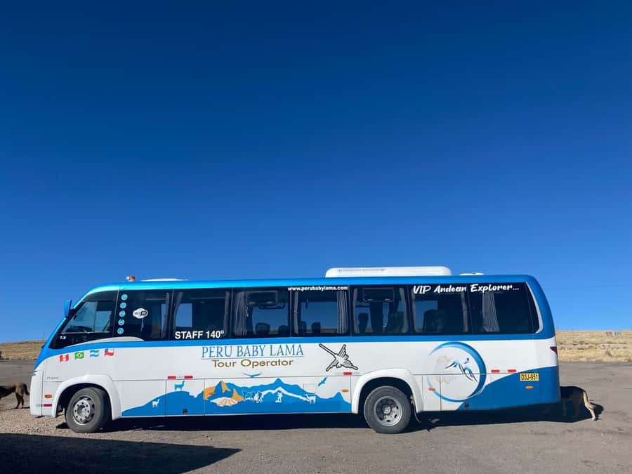 From Arequipa: Colca Canyon Day Trip with Transfer to Puno - An hour at Chacapi Hot Springs
