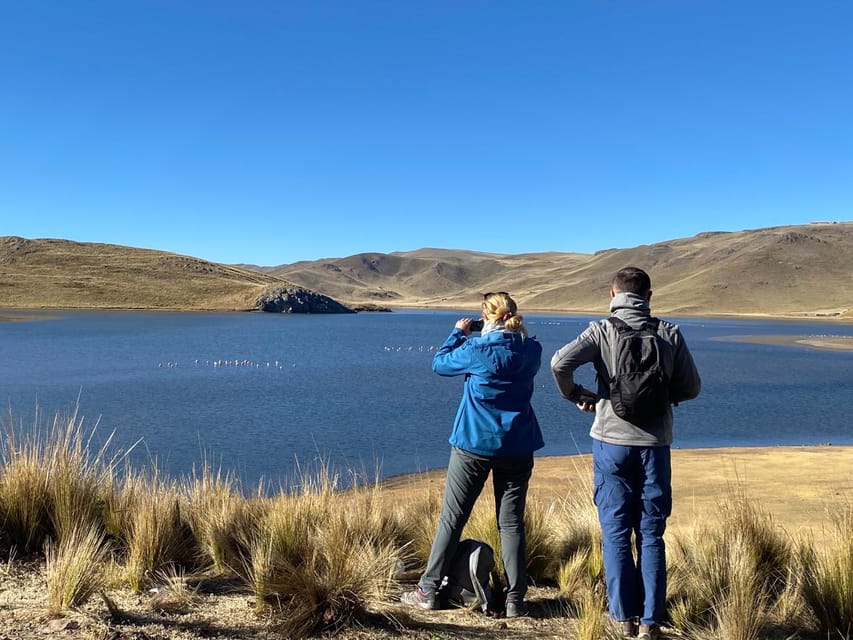 From Arequipa: Colca Canyon Day Trip with Transfer to Puno - Lunch in Chivay, with extra costs to watch