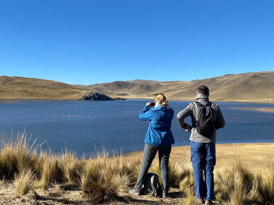 From Arequipa: Colca Canyon Day Trip with Transfer to Puno - Alto Lagunillas and the final bus ride